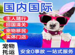 西郊航空运输国际宠物托运 【国